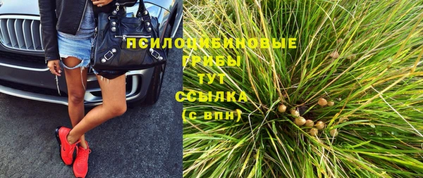 прущий лед Анива
