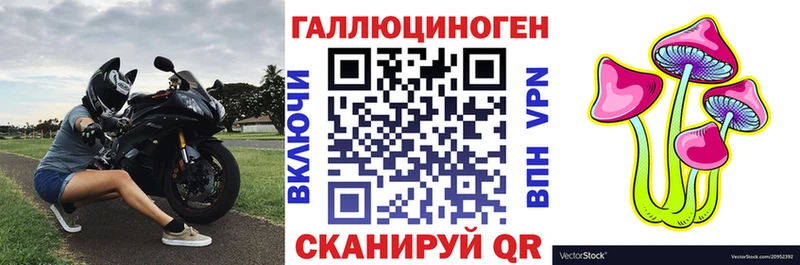 Псилоцибиновые грибы Cubensis  МЕГА ссылки  Йошкар-Ола 