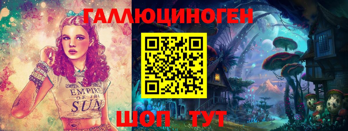 Галлюциногенные грибы Psilocybine cubensis Йошкар-Ола