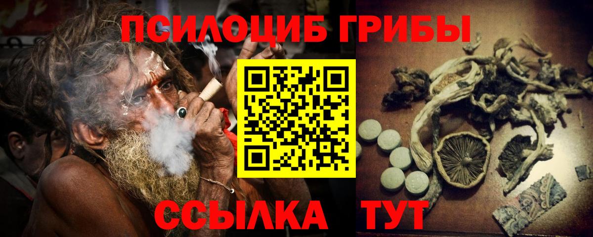 Галлюциногенные грибы Psilocybe  Вход с VPN  Йошкар-Ола 